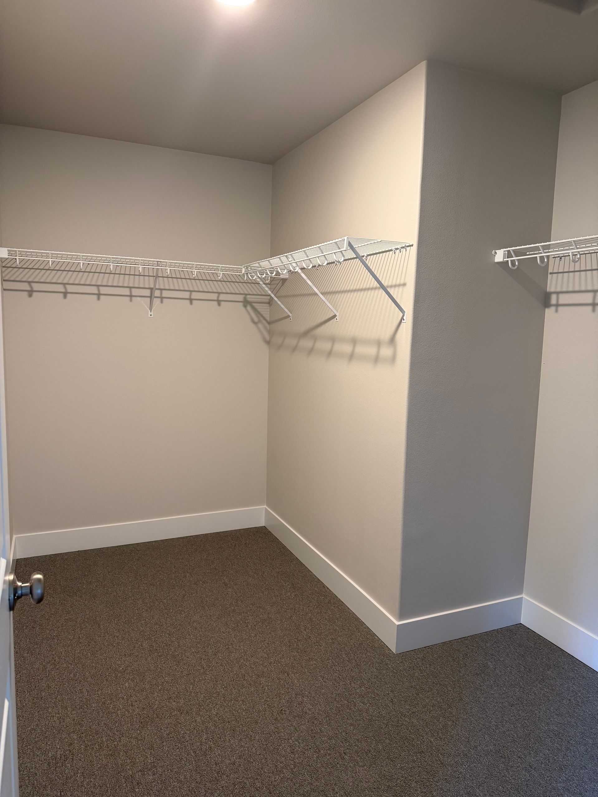 Empty walk-in closet with wire shelving and carpet. White walls and trim.