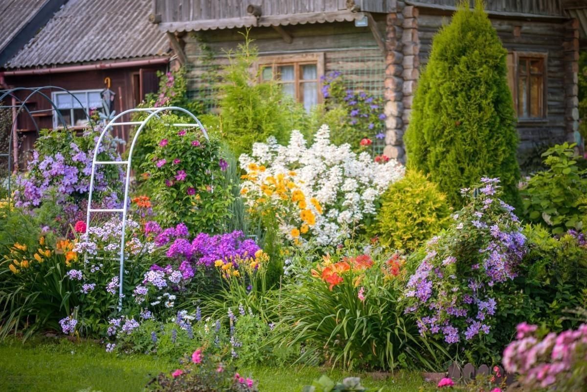 a garden with lots of flowers and trees in front of a house