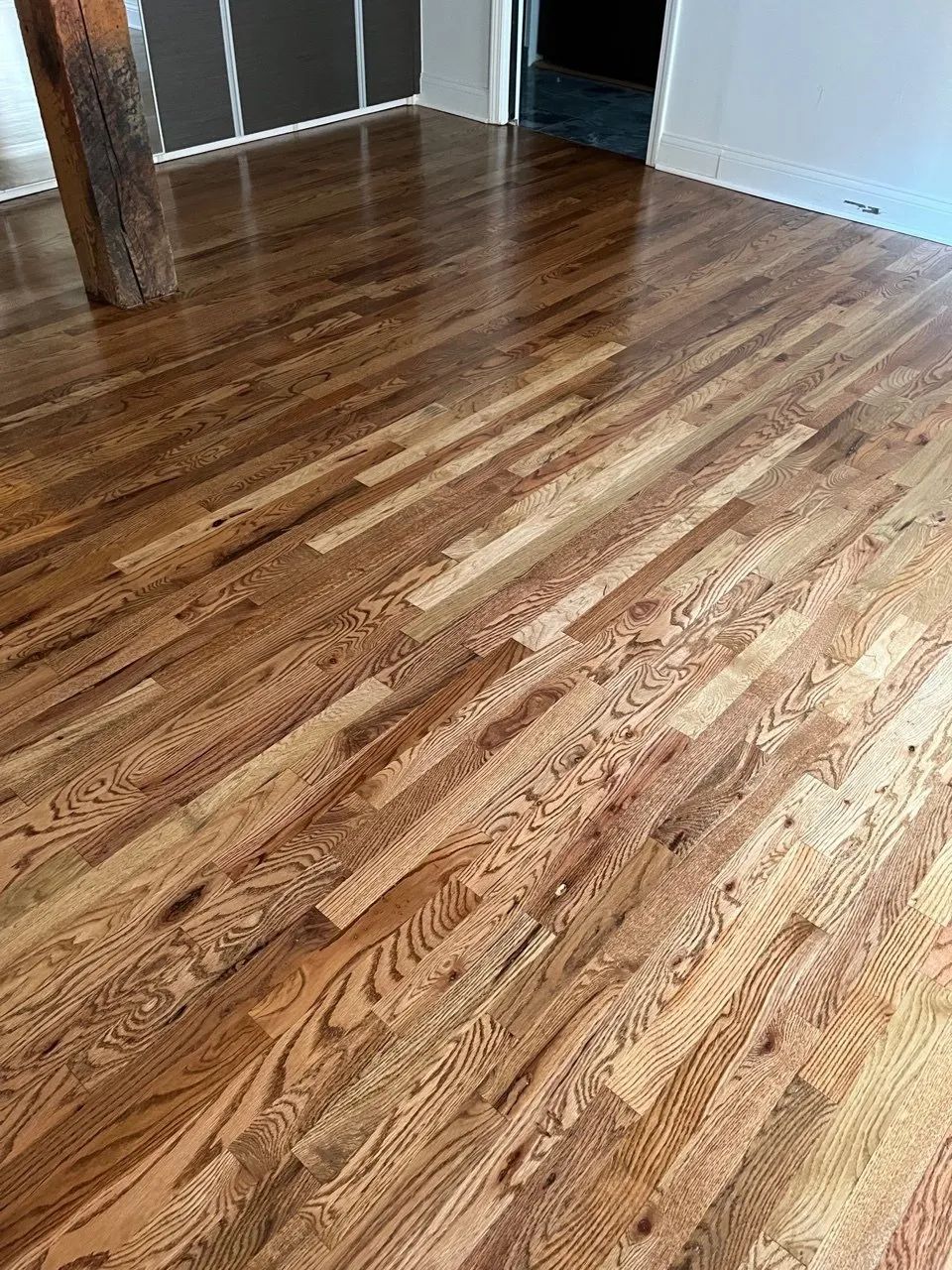 Polished hardwood floor, golden-brown planks, bright with reflected light.