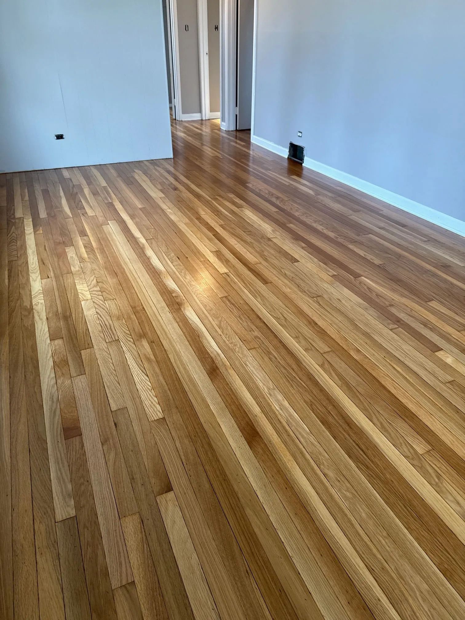 Hardwood floor in a room, reflecting light. White trim and gray walls.