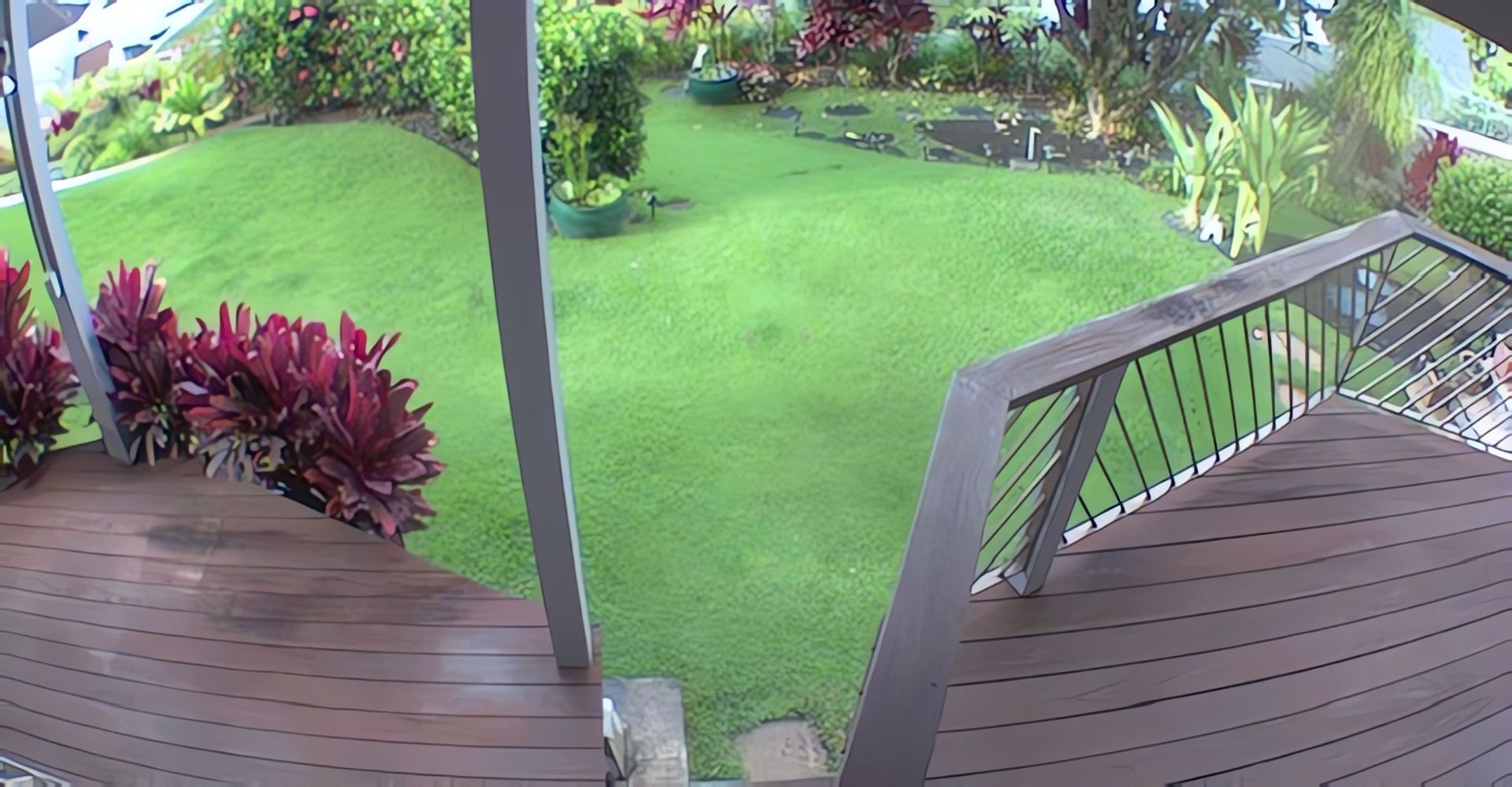 A view from a wooden deck looking out onto a bright green lawn surrounded by landscaping and red-leafed plants.