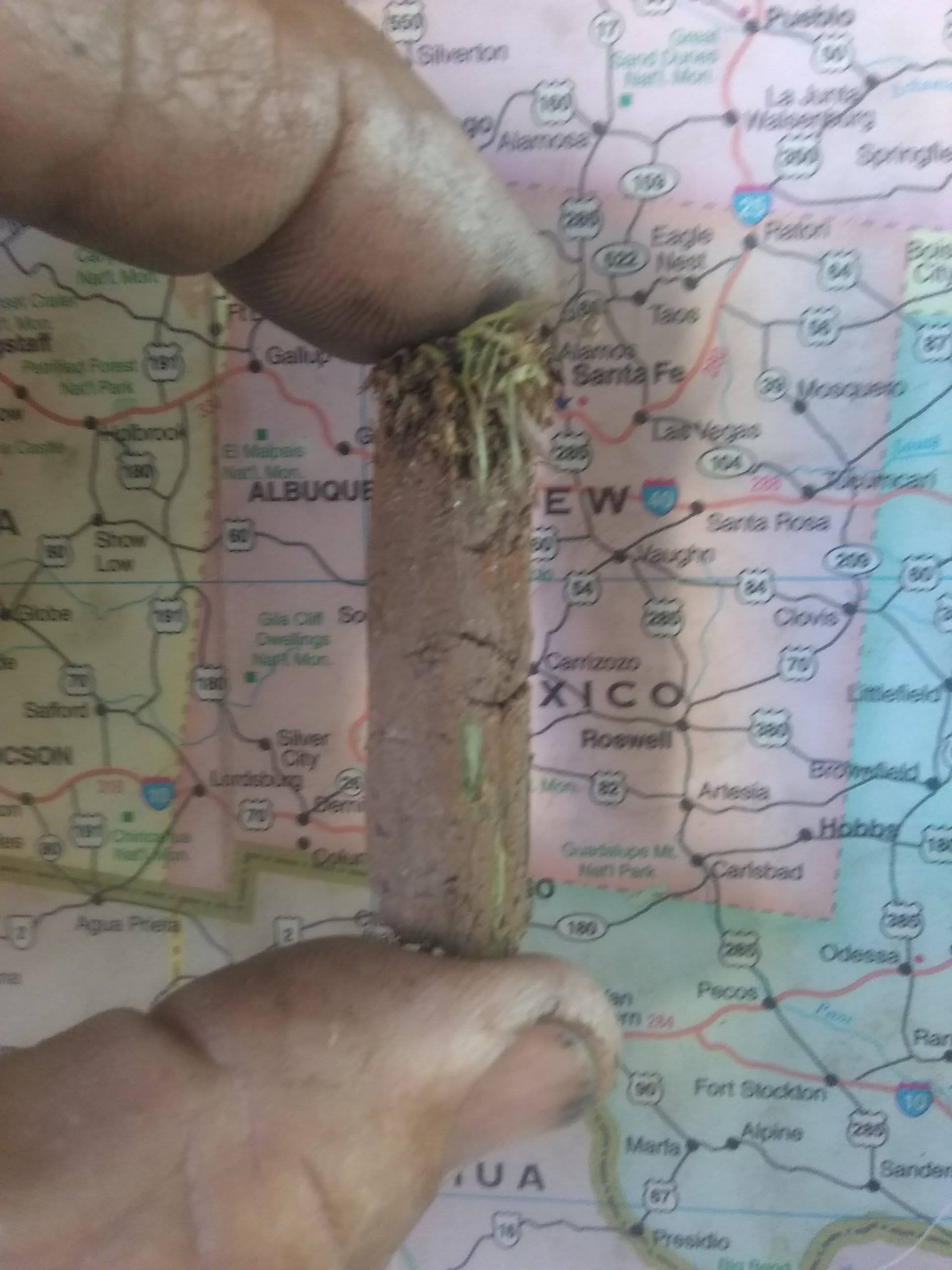 A close-up of fingers holding a small, brown cylindrical plug of soil and grass roots against a map of New Mexico.
