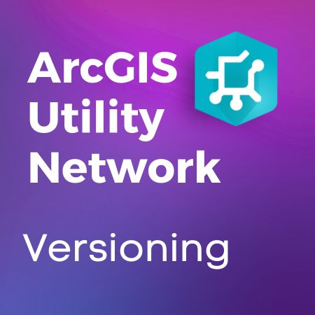 ArcGIS Utility Network Versioning