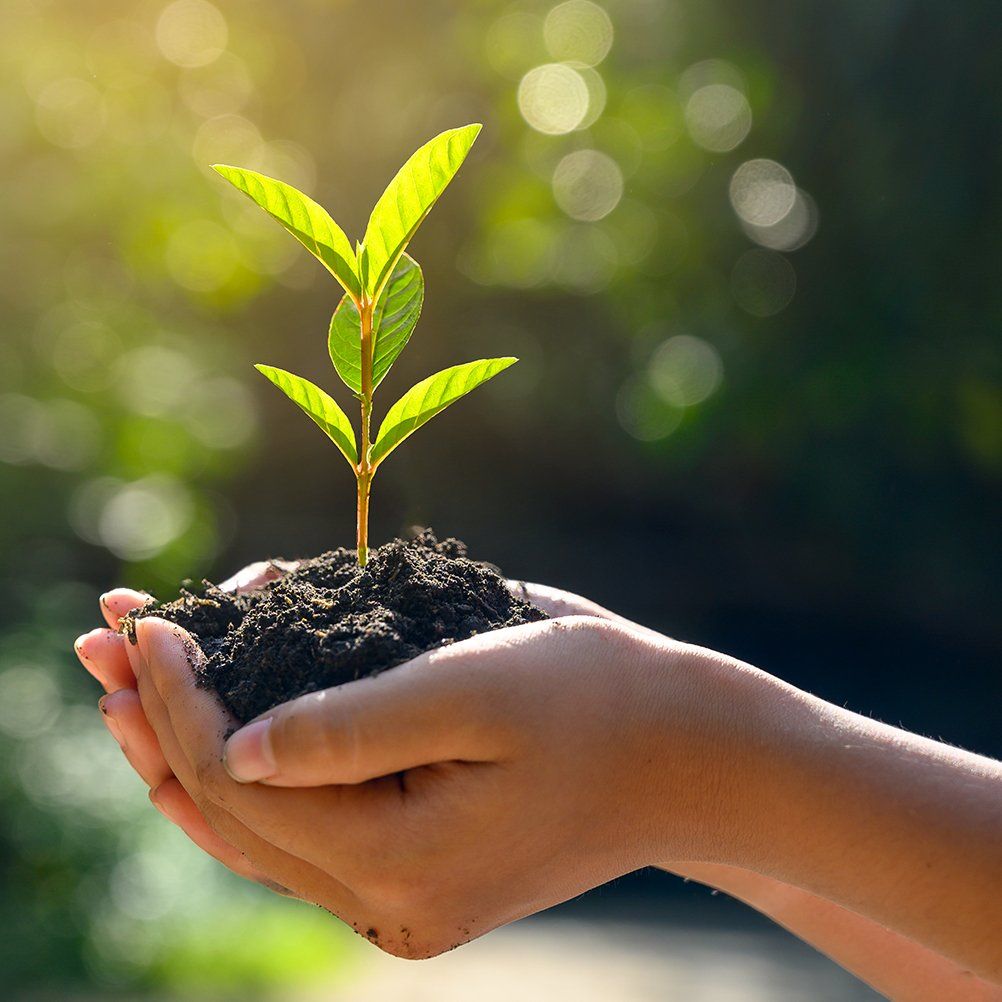 Protect the Planet