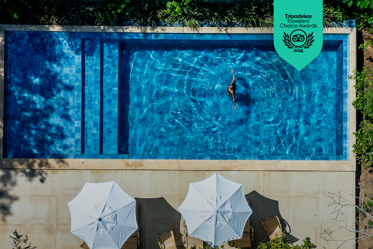 Uma vista aérea de uma piscina azul linda com guarda-sóis e uma pessoa dentro dela, ao redor arvores