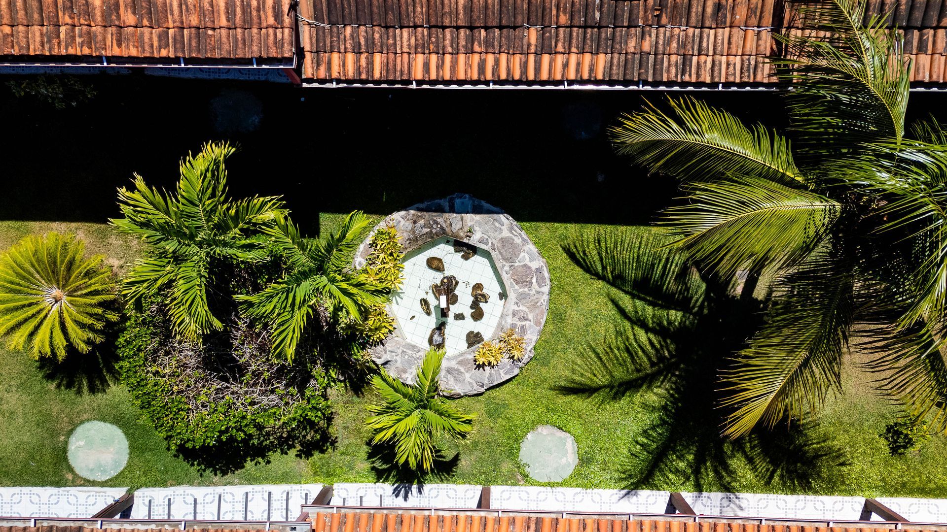 Uma vista aérea de um jardim tropical com palmeiras e uma piscina.