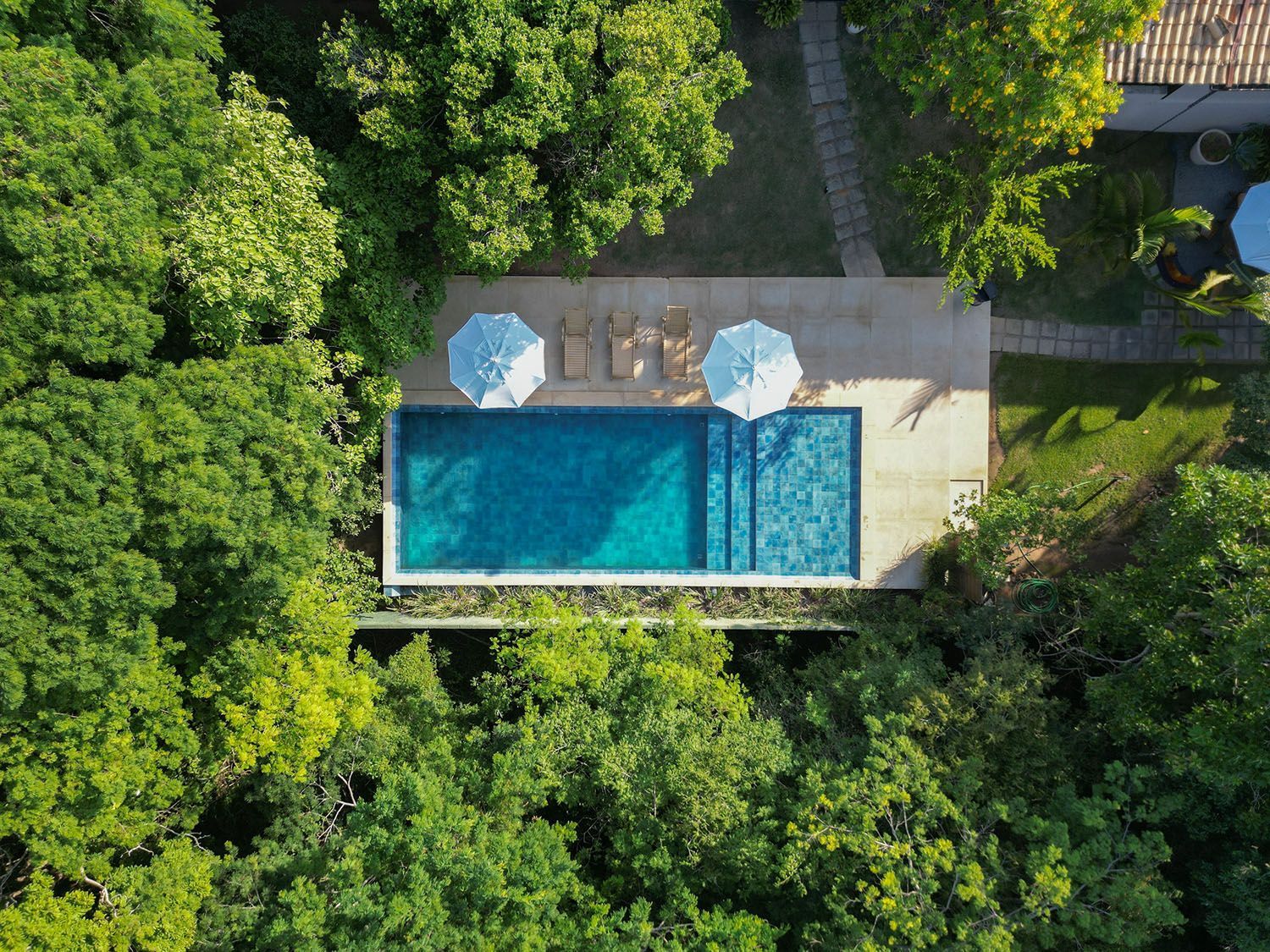 Uma vista aérea de uma piscina cercada por árvores.