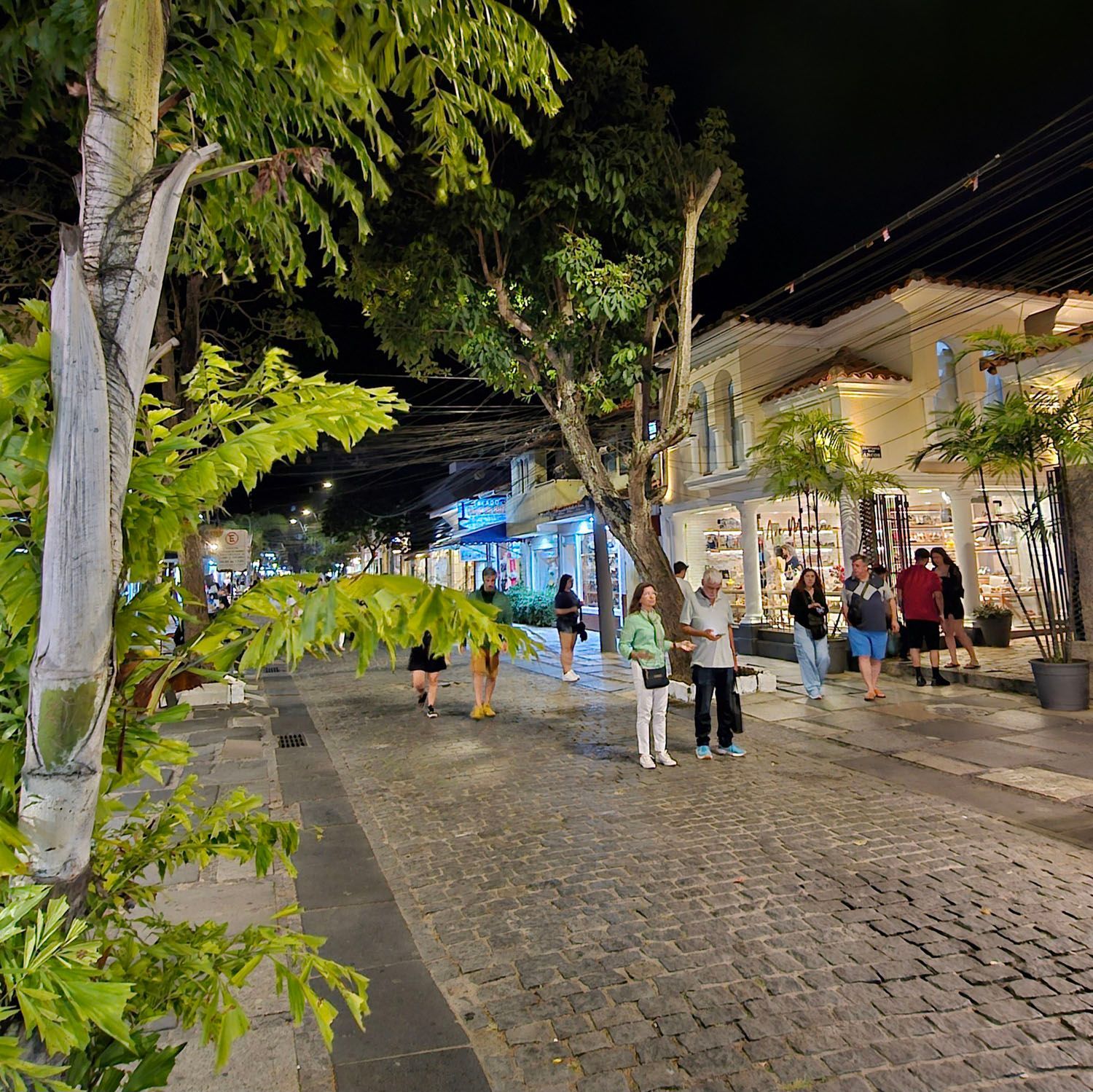Um grupo de pessoas caminha por uma rua de paralelepípedos à noite