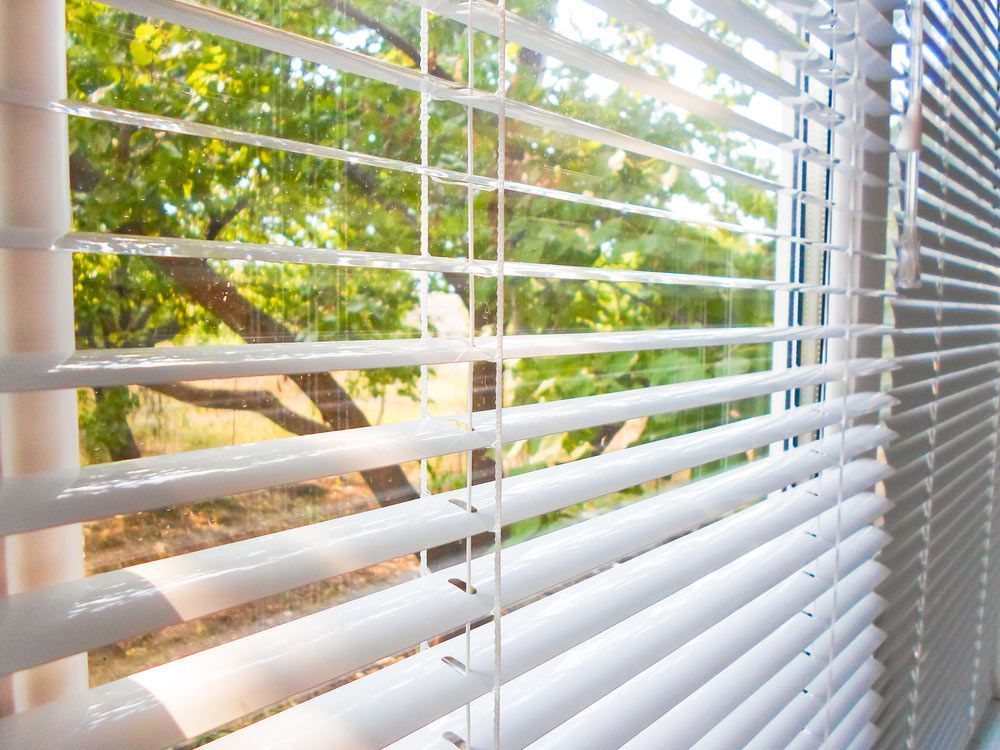 Window Facing Trees Being Covered by Blinds — Window Coverings in Goulburn, NSW