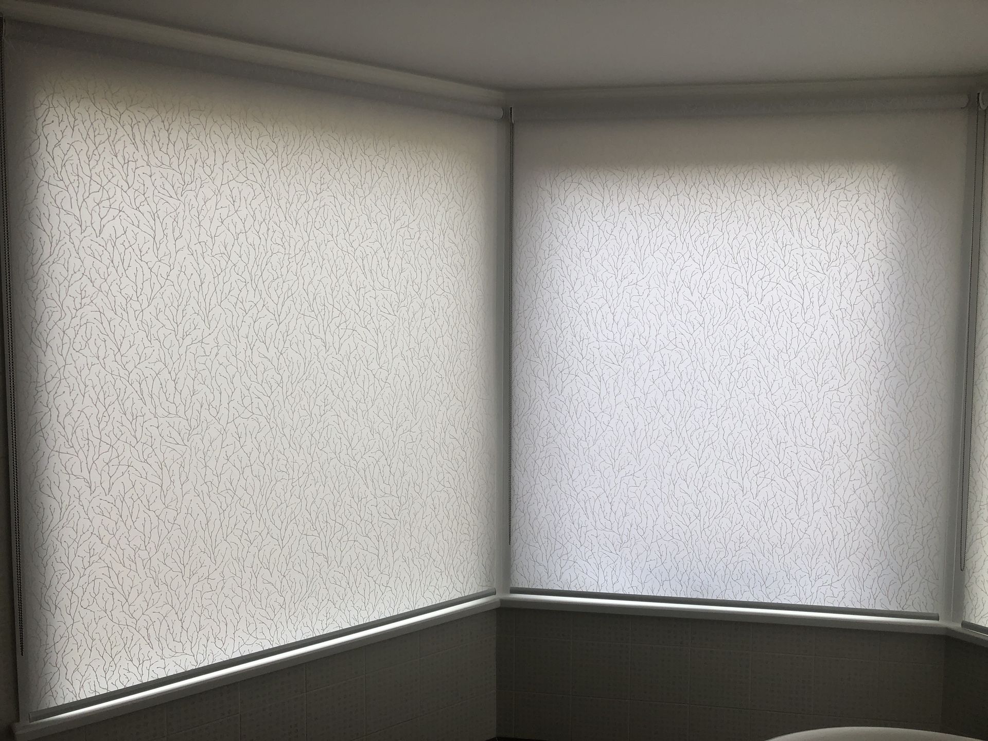 rolled blind — Window Coverings in Exeter, NSW