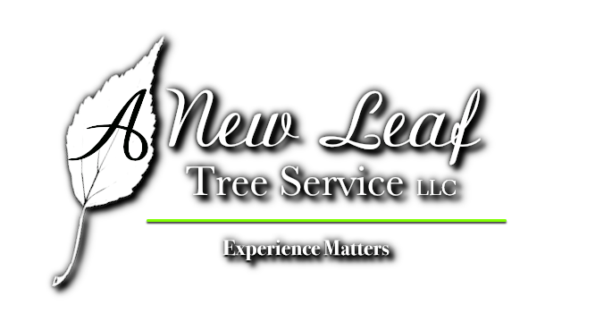 A New Leaf Tree Service