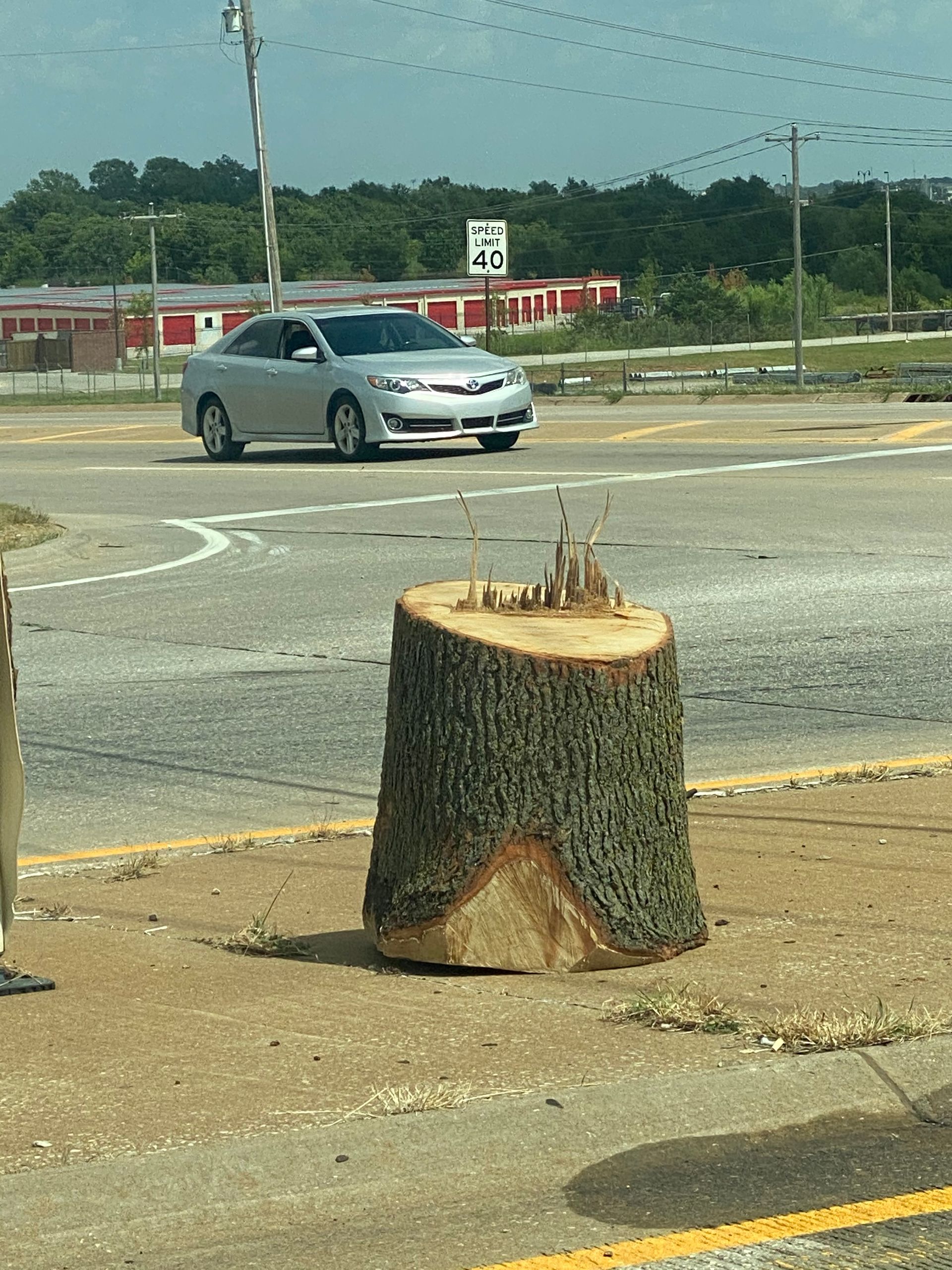A large, freshly cut tree stump sits on a paved roadside near a highway intersection with a passing silver sedan.