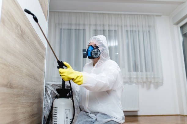A woman exterminator in uniform spraying pesticide, representing professional exterminators at work.