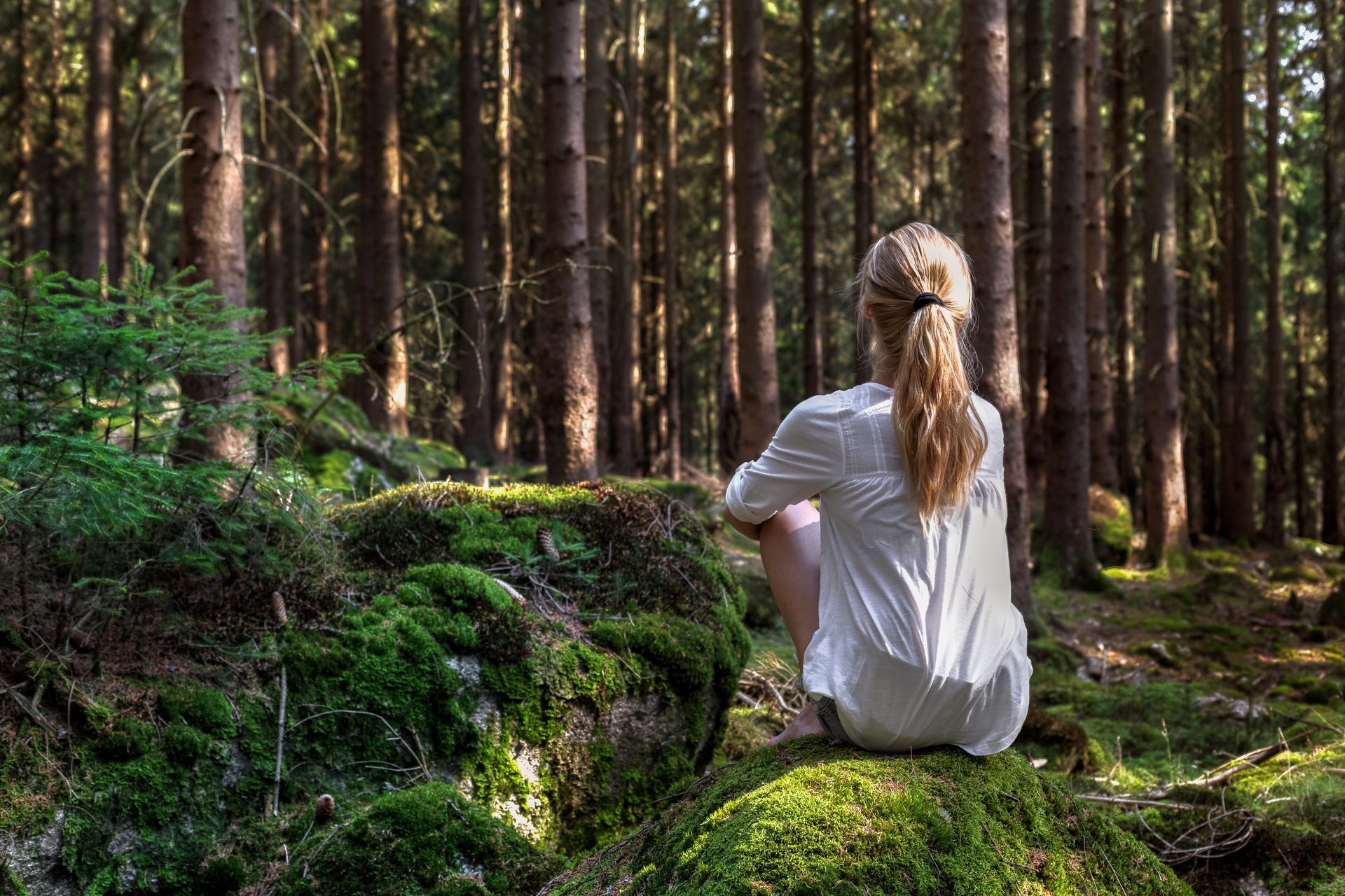 A woman is sitting on a mossy rock in the middle of a forest.