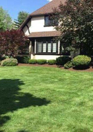 Tree Care - lawn installation in Amherst, NY