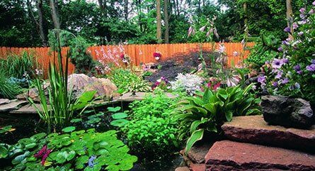 Landscape Design Pond - Landscape Service in Amherst, NY