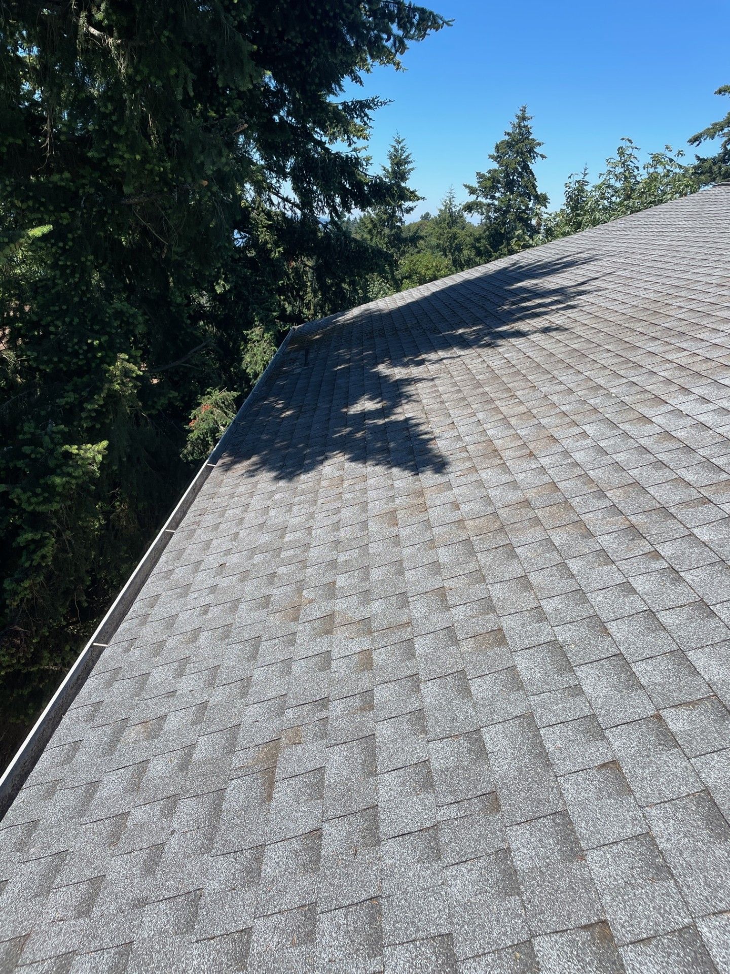 roof-shining-like-new