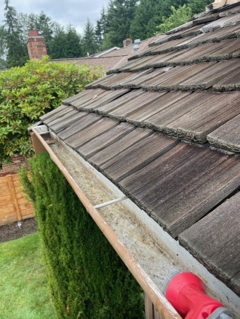 clean-gutters-snohomish