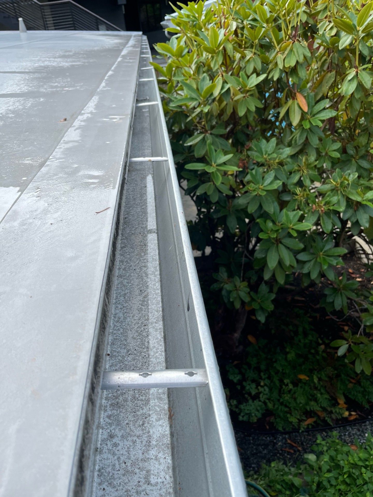 A gutter on the side of a building next to a bush.