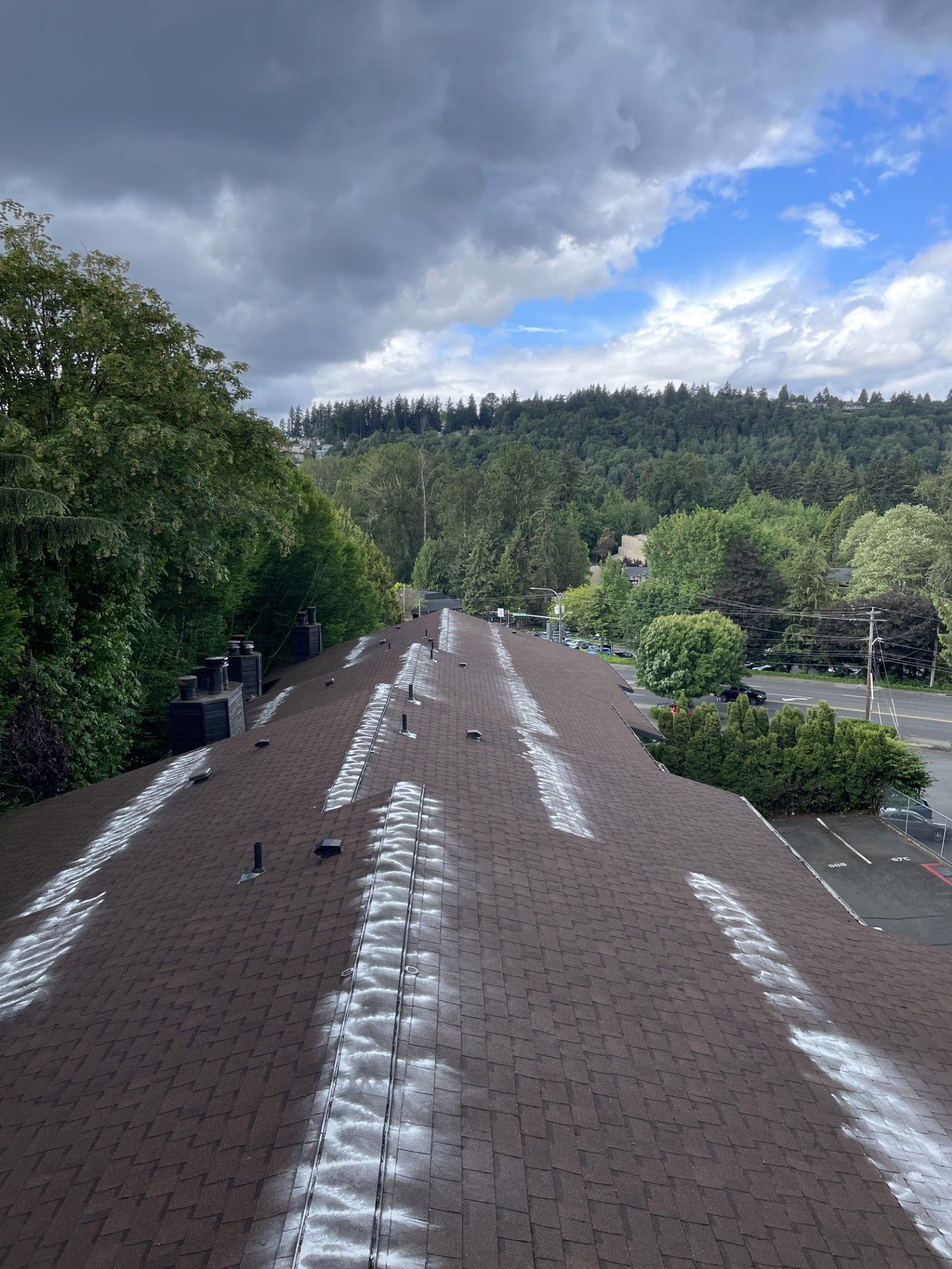 full-moss-treatment-wa