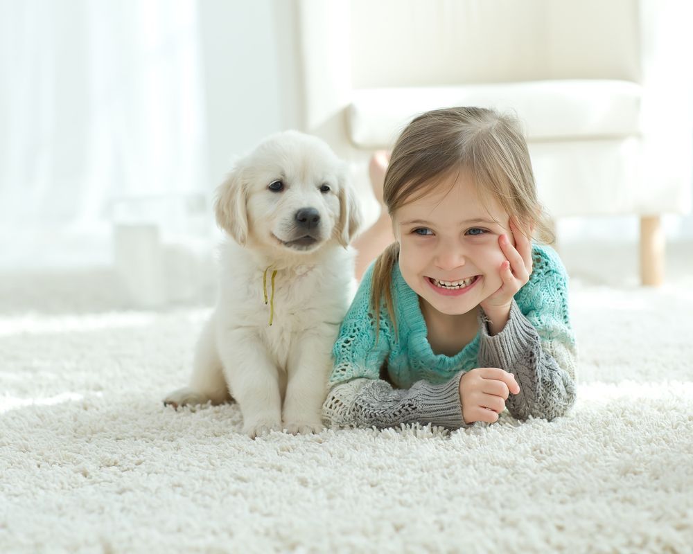 puppy and little girl on carpet
