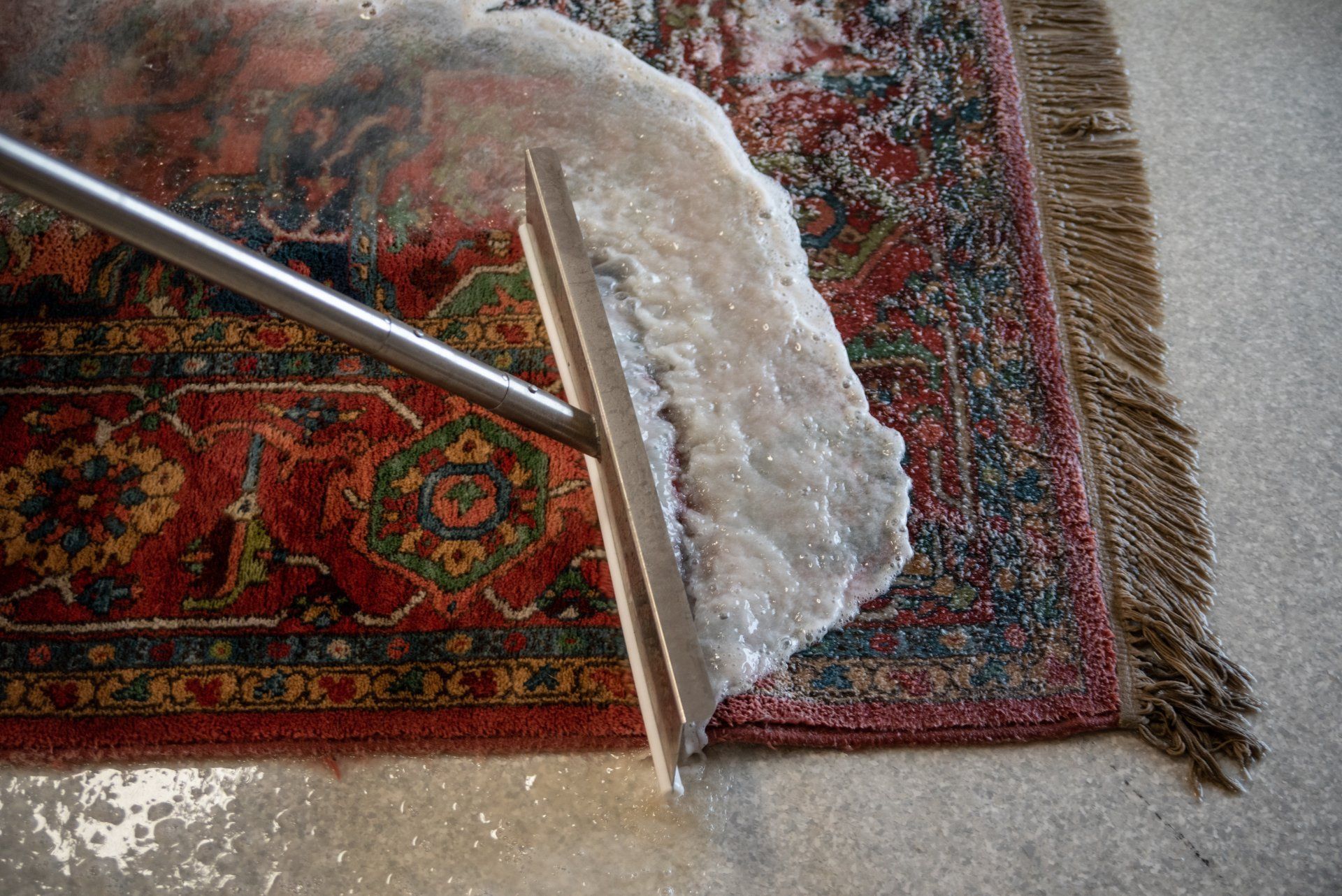 carpet cleaning process