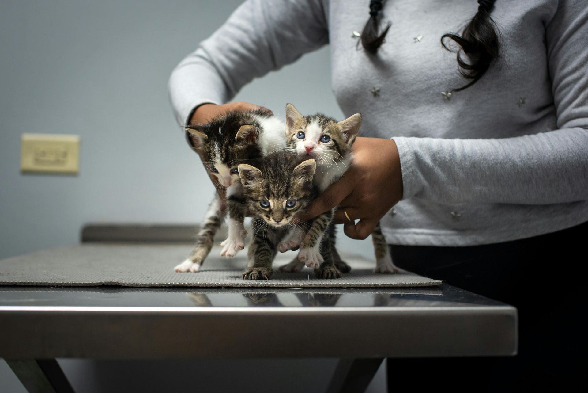 A woman is holding three kittens on a table.