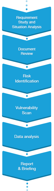 Security Assessment