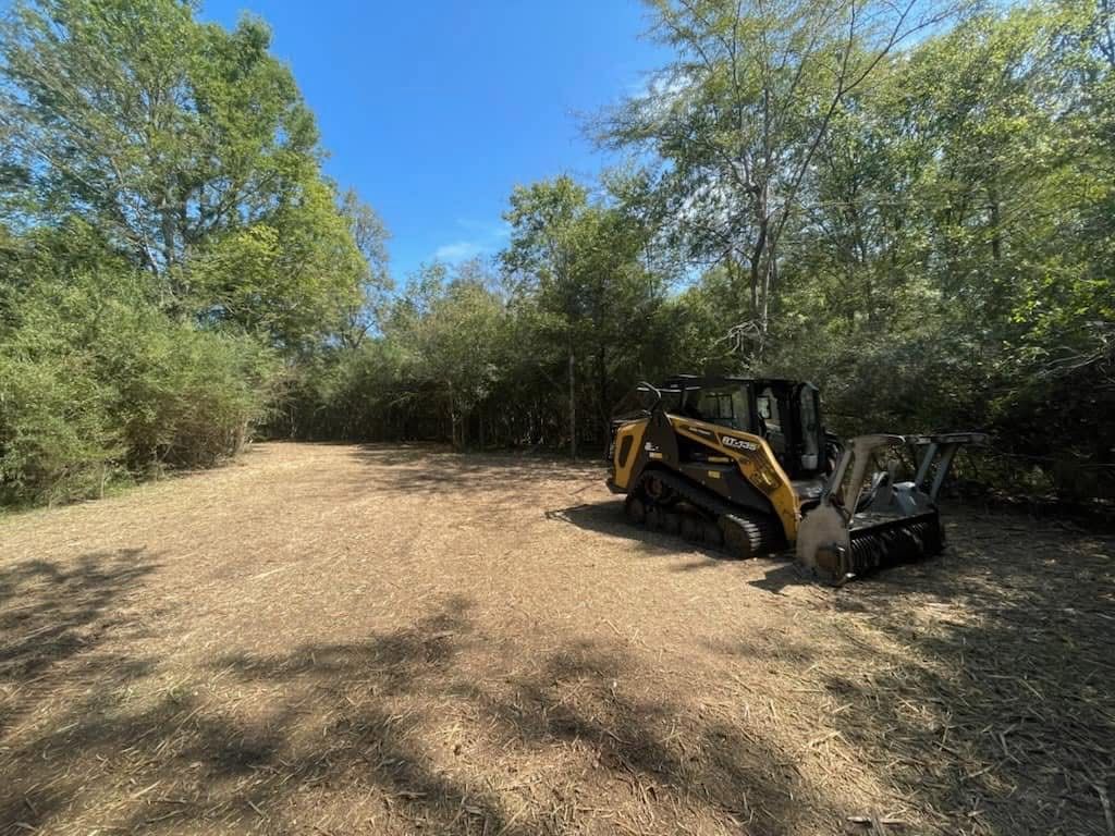 A bulldozer is parked in the middle of a dirt road in the woods.