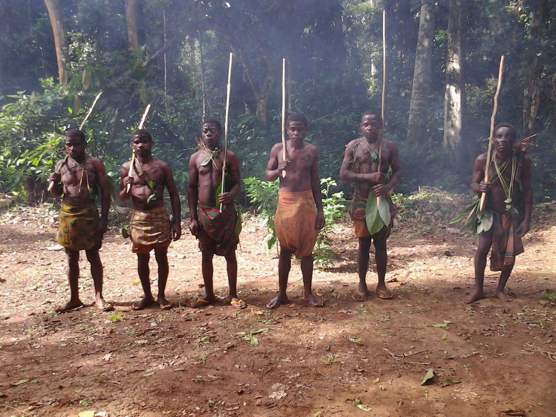 Pygmy Cameroon