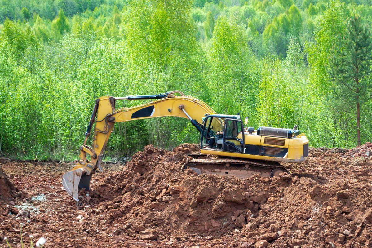 Yellow excavator digging into brown soil, forest in the background.