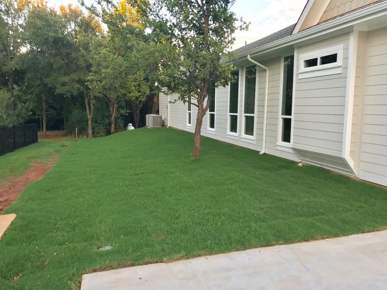 Lush green lawn with a tree, next to a light gray house with tall windows. Trees and dark fence in the background.