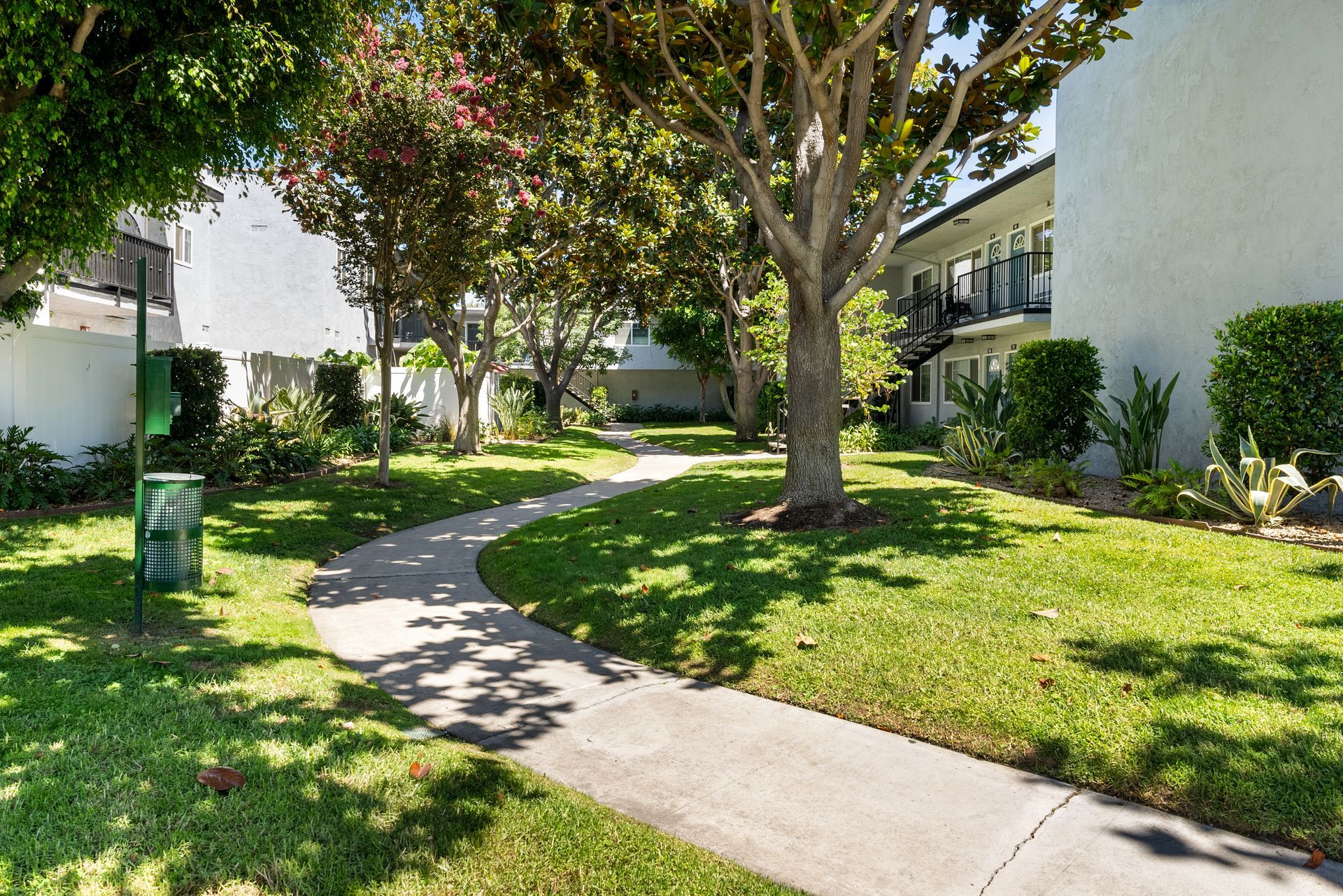 Winding path and tree