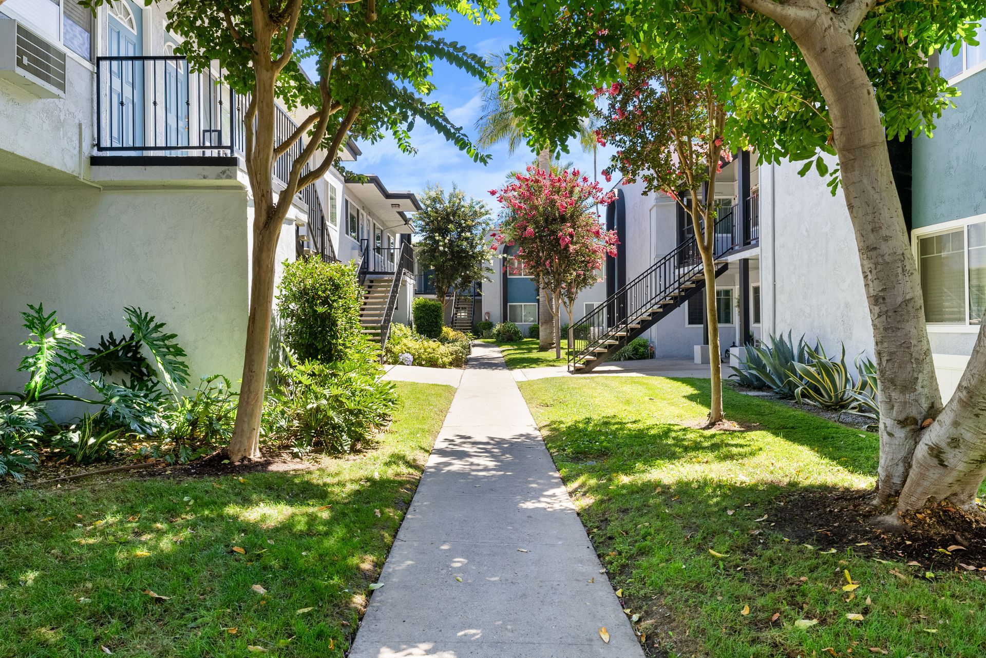 Walkway, grass, and trees