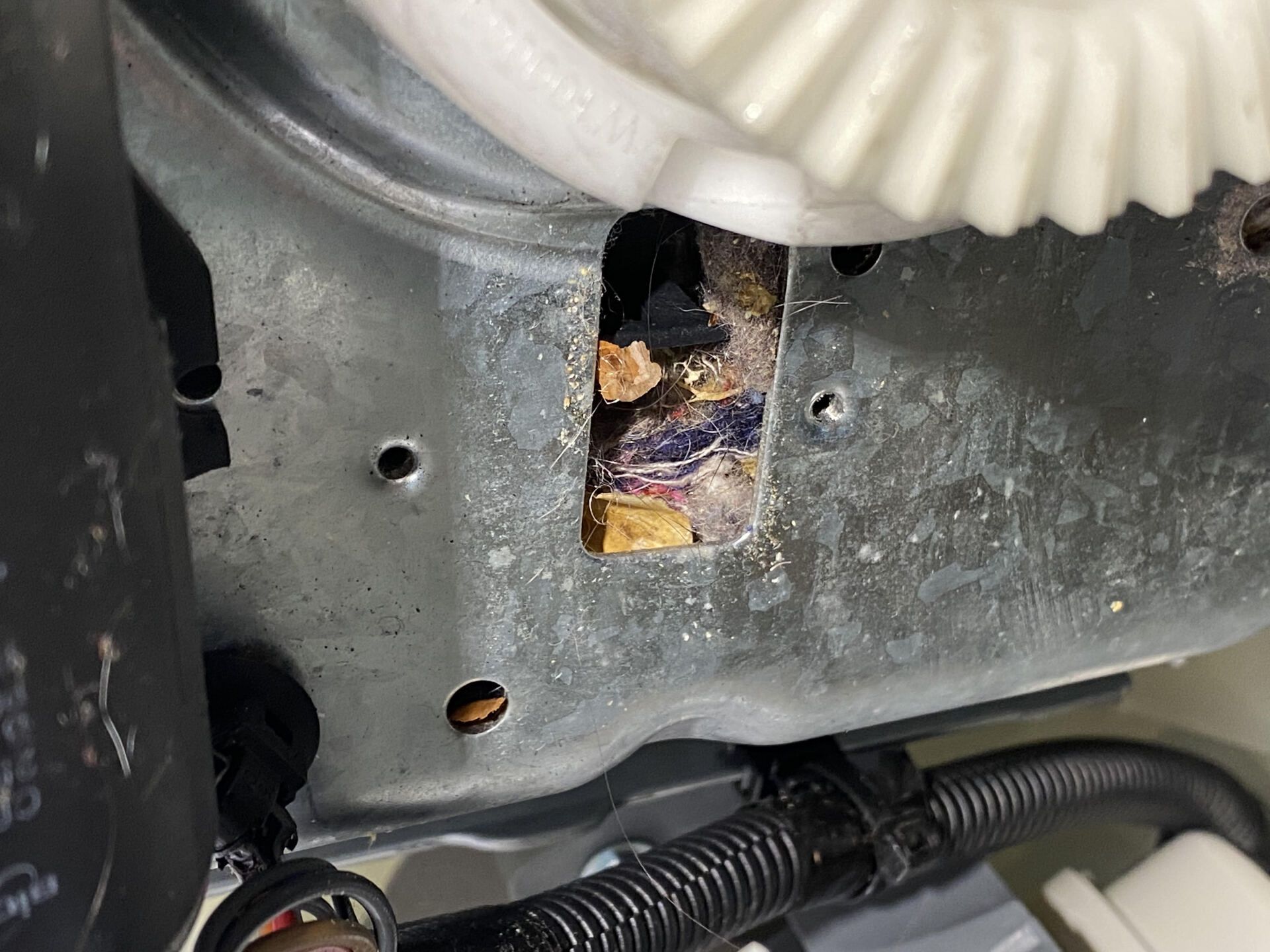 Appliance repair near me, Appliance repair service, Repair dishwasher, Repair dryer, Repair refrigerator, Repair freezer, Repair washer, Repair dryer, Repair microwave, Repair oven, Repair cooktop, Johnston County, NC, Smithfield NC, West Smithfield Smithfield NC, Garner NC, Selma NC, Princeton NC, Dunn NC, Kenly NC, Wilsons Mills NC, Four Oaks NC, Goldsboro NC, Benson NC, Pine Level NC, Micro NC, Clayton NC, Angier NC, Willow Springs NC, Erwin NC, Auburn NC, Bagley NC