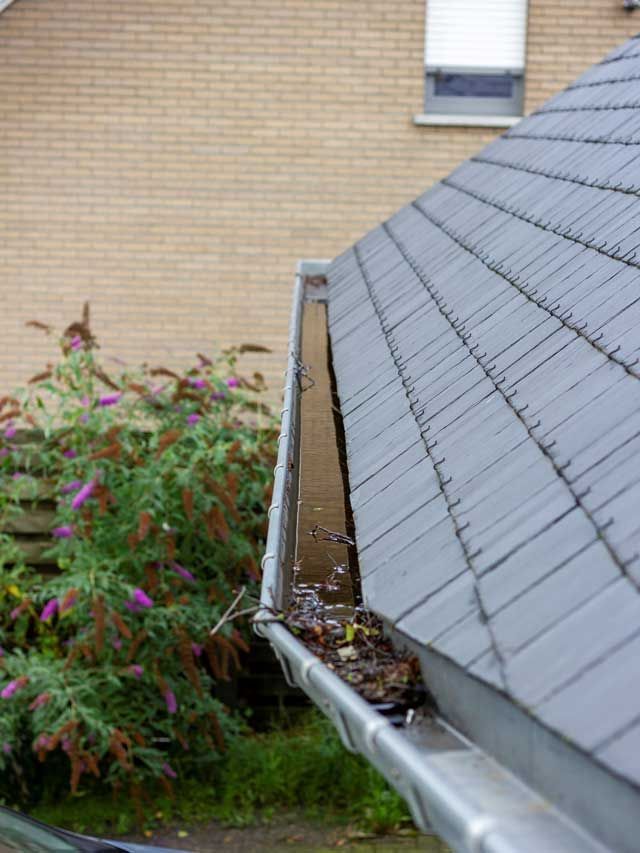 A gutter on the side of a house with a slate roof.