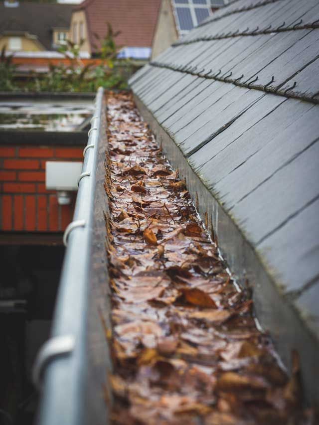 A gutter filled with leaves on the roof of a house.