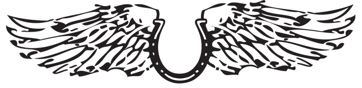 A black and white drawing of a pair of angel wings on a white background.