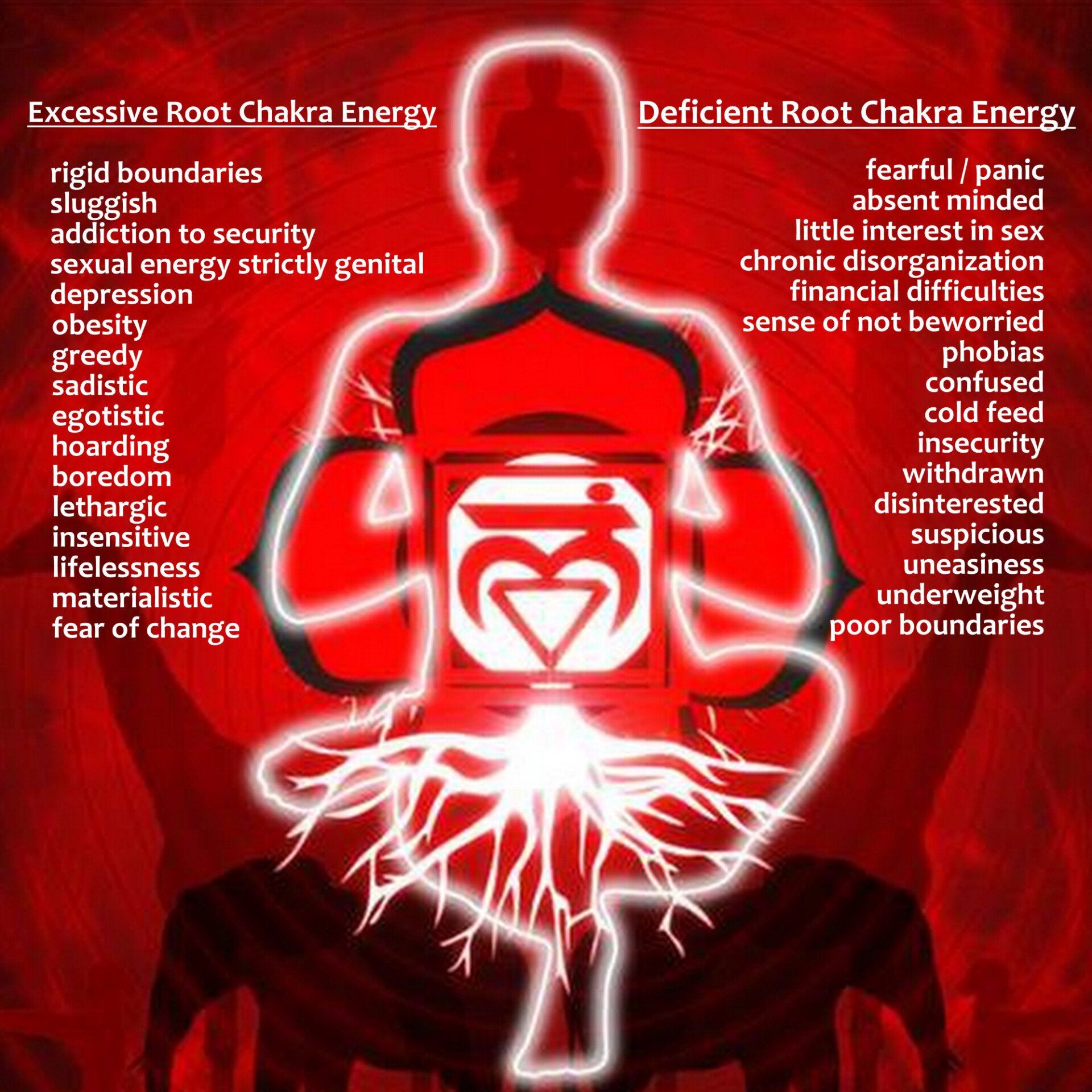 Understanding the Root Chakra