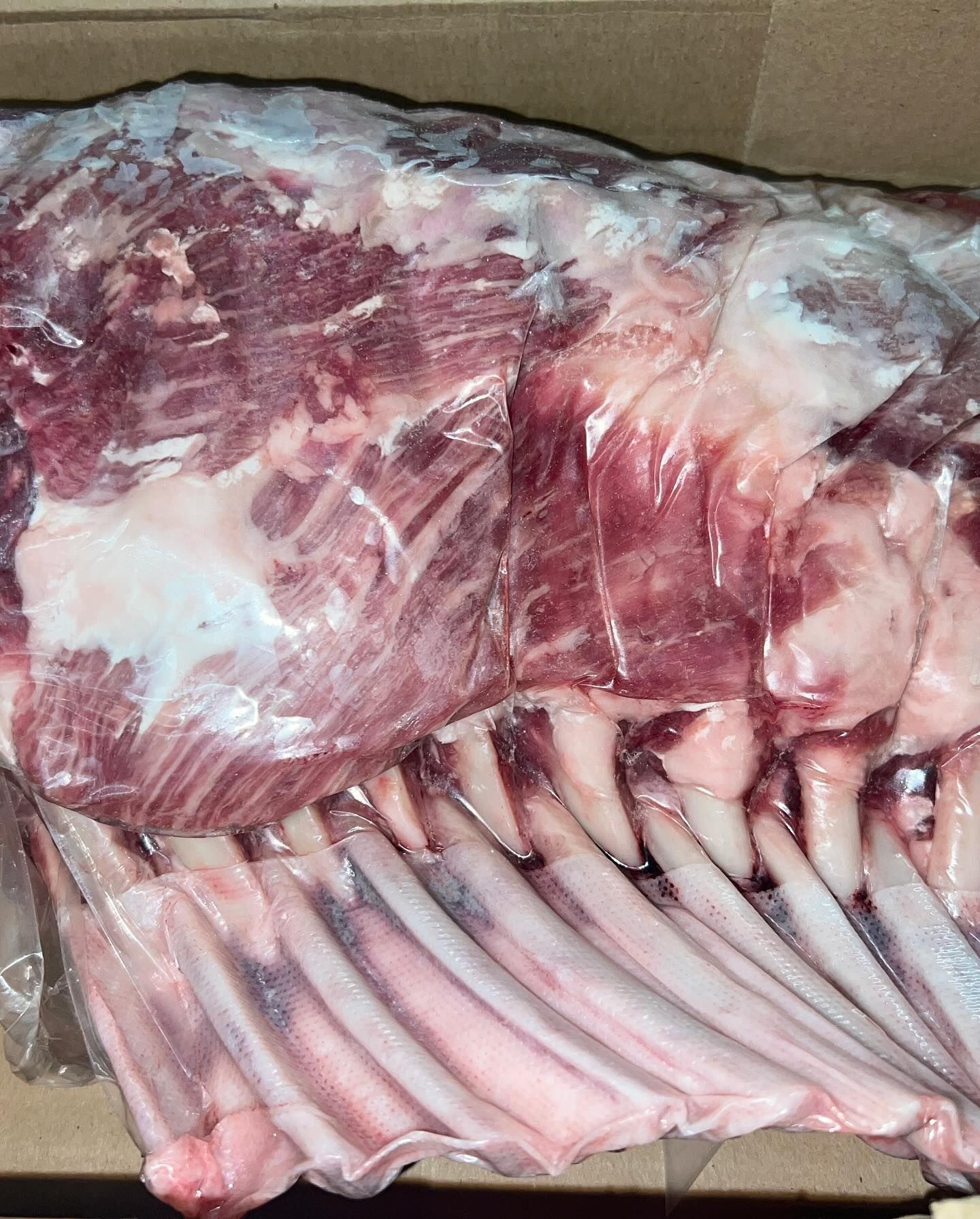 Raw rack of lamb meat in a cardboard box, with exposed ribs and marbled fat. Raw rack of lamb meat in a cardboard box, with exposed ribs and marbled fat.