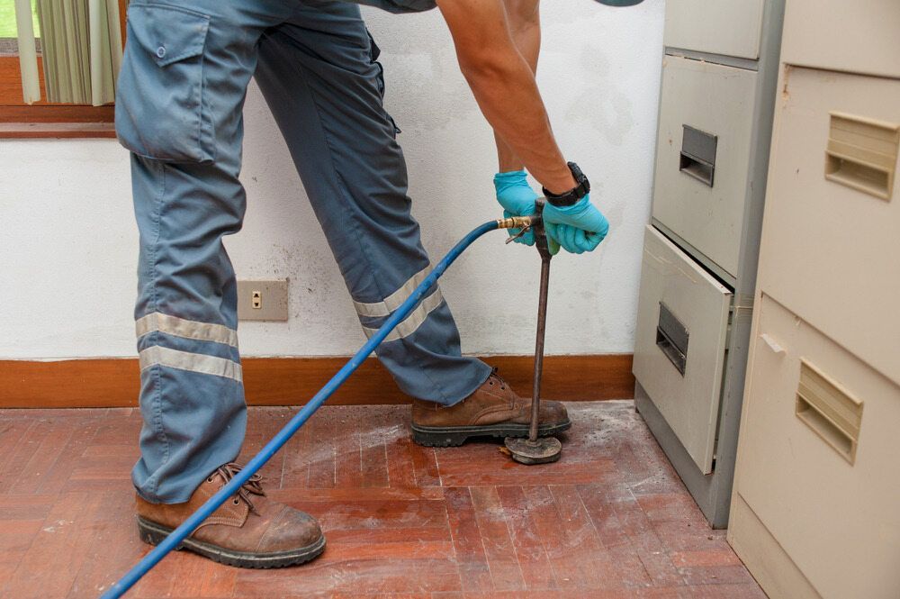 A Man is Standing on a Wooden Floor Holding a Hose — Lighthouse Pest Control In Suffolk Park, NSW
