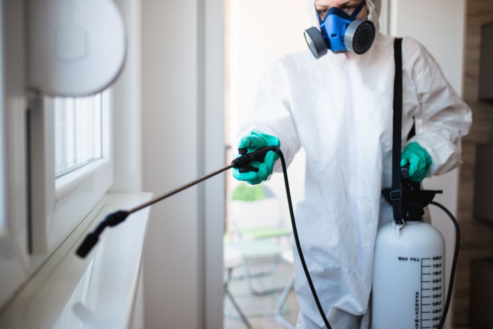 A Man in A Protective Suit Is Spraying a Window with A Sprayer — Lighthouse Pest Control In Ballina, NSW