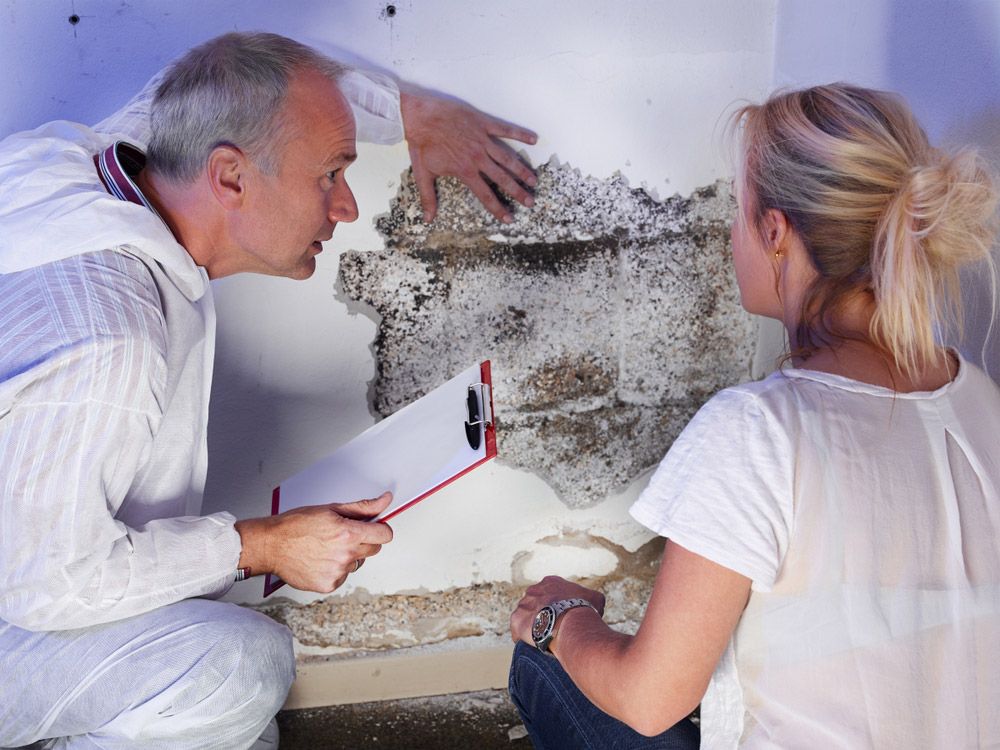 A Man and a Woman Are Looking at a Mouldy Wall — Lighthouse Pest Control In Lennox Head, NSW
