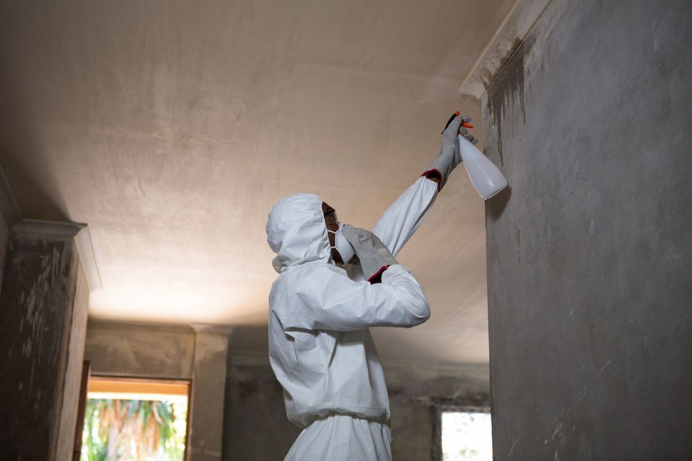 A Man in A Protective Suit Is Spraying a Wall with A Spray Bottle — Lighthouse Pest Control In Northern Rivers, NSW