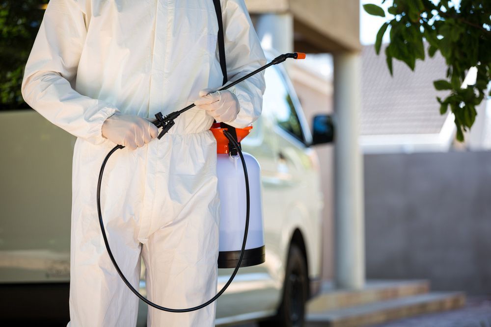 A Man in A Protective Suit Is Spraying a Car with A Sprayer — Lighthouse Pest Control In Northern Rivers, NSW