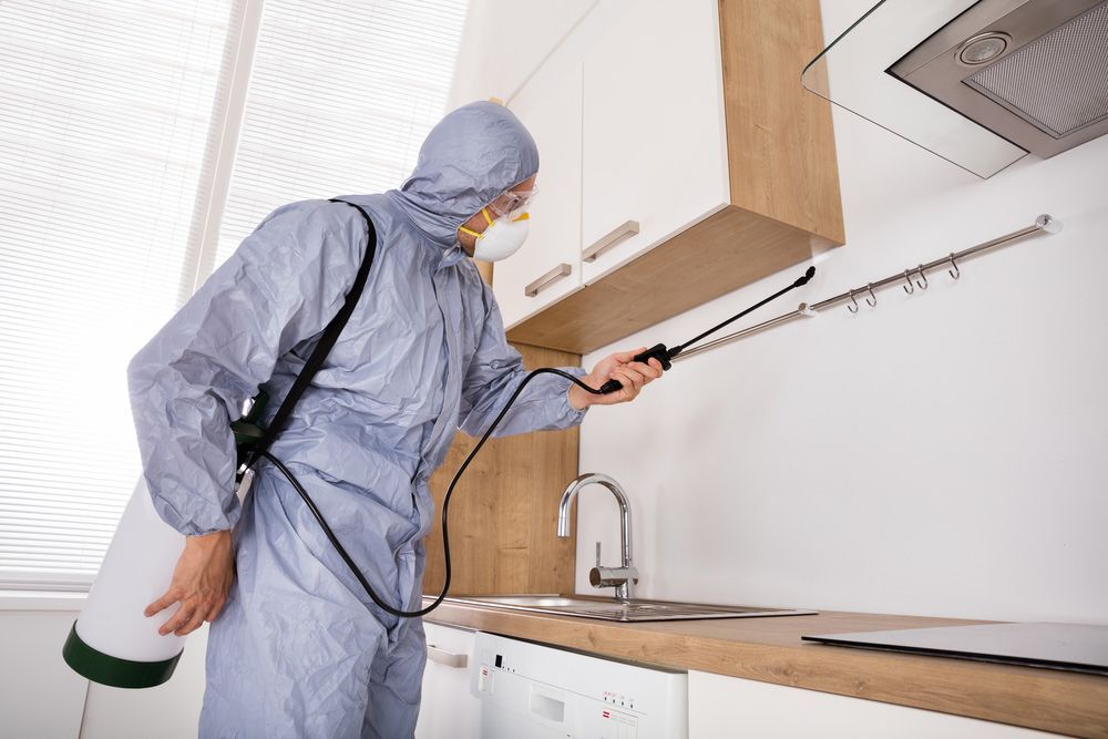 A Man in A Protective Suit Is Spraying a Kitchen with A Sprayer — Lighthouse Pest Control In Bangalow, NSW