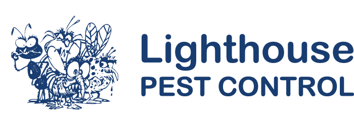 Lighthouse Pest Control: Comprehensive Pest Control in Byron Bay