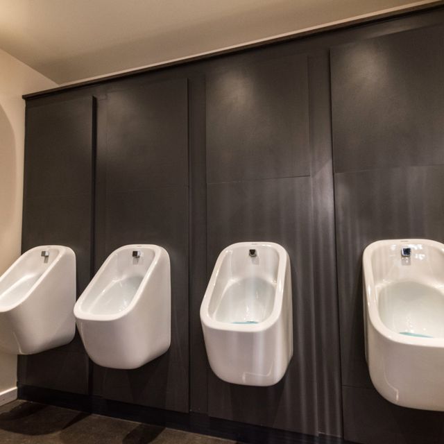 https://lirp.cdn-website.com/f8c0bbb6/dms3rep/multi/opt/Wight+Event+Toilets+4-2+Luxury+Toilet.-640w.jpg