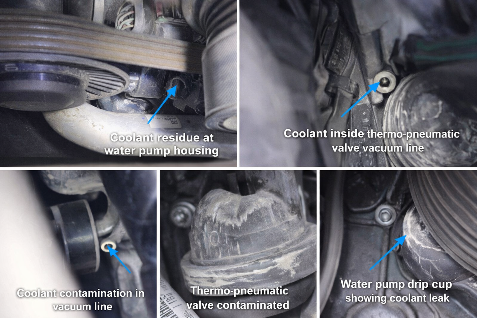 Five close-up photos of a car engine showing coolant leaks, contaminated vacuum lines, and a faulty water pump housing | Peak Euro