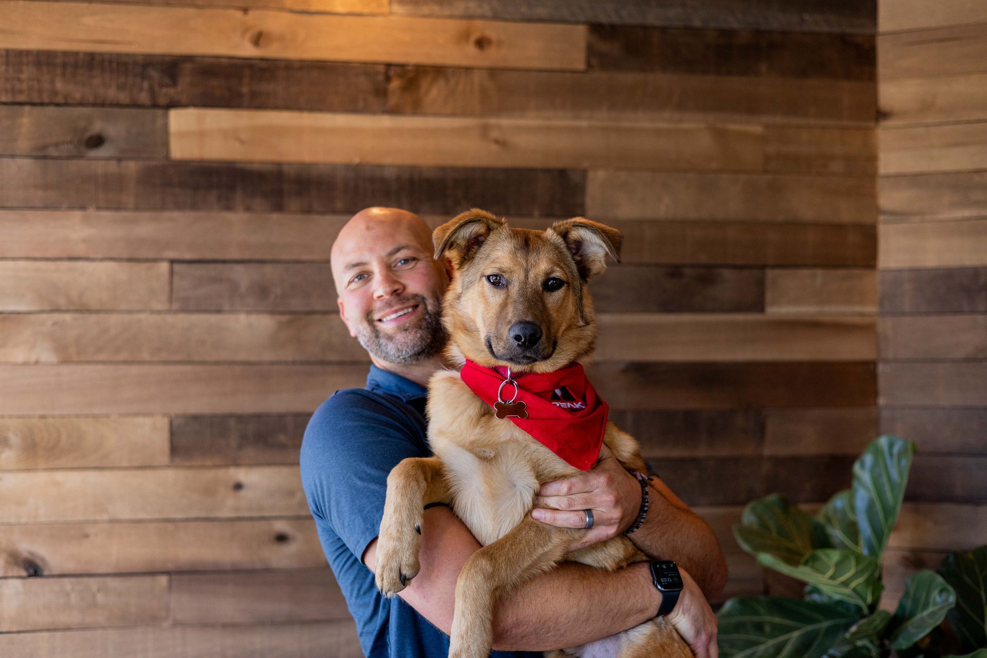 Man with bald head smiling, holding a dog with a red bandana, wooden wall background. | Peak Euro